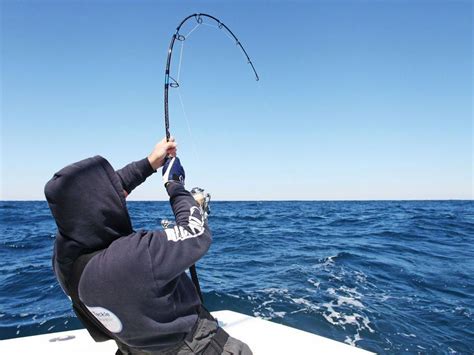 海竿用什麼魚護好？海竿搭配魚護，選擇時需考量哪些環境因素？